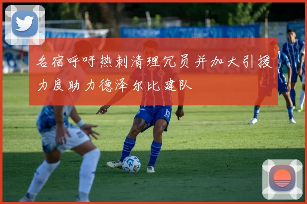 名宿呼吁热刺清理冗员并加大引援力度助力德泽尔比建队